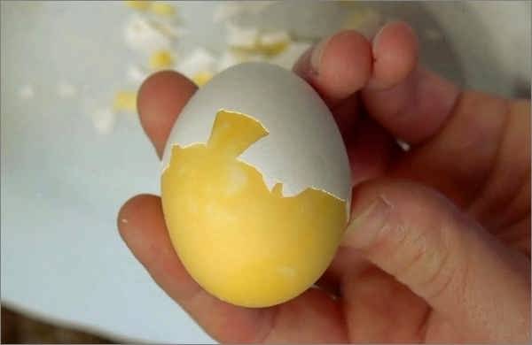 مخلوط کن زرده و سفیده تخم مرغ